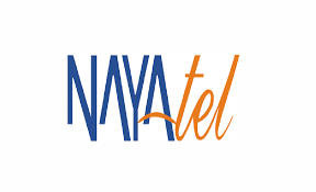 Nayatel Logo