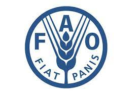 Food and Agriculture Organization of the United Nations Logo