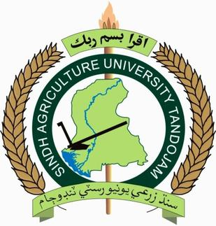 Sindh Agriculture University Tandojam Logo