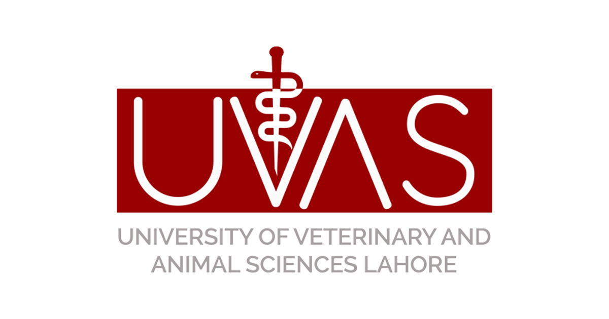 University Of Veterinary & Animal Sciences (UVAS) Logo