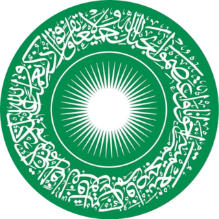Aga Khan University Logo